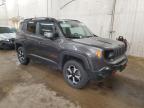 2020 Jeep Renegade Trailhawk na sprzedaż w Ham Lake, MN - Front End
