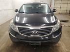 2013 Kia Sportage Base for Sale in Ham Lake, MN - Hail
