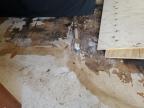 2012 Jayco Jay Series for Sale in Columbus, OH - Water/Flood