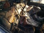 2014 Kia Sorento Lx за продажба в Chatham, VA - Burn