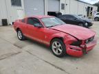 Gaston, SC에서 판매 중인 2008 Ford Mustang  - Front End