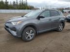 2017 TOYOTA RAV4 XLE à vendre chez Copart ON - TORONTO