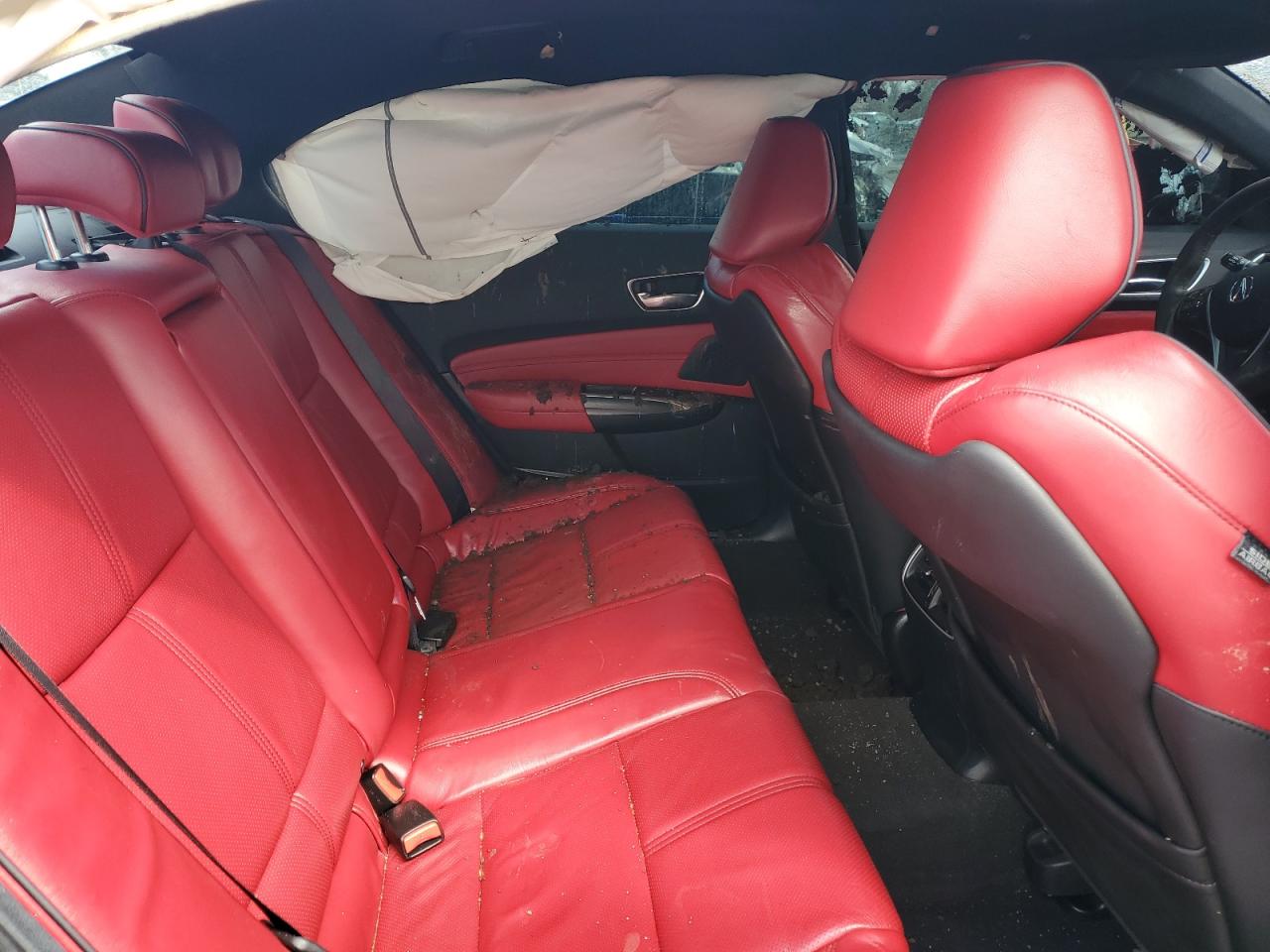 2020 Acura Tlx Technology VIN: 19UUB1F6XLA010239 Lot: 53940685