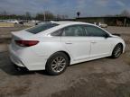 2019 Hyundai Sonata Se for Sale in Marlboro, NY - Minor Dent/Scratches