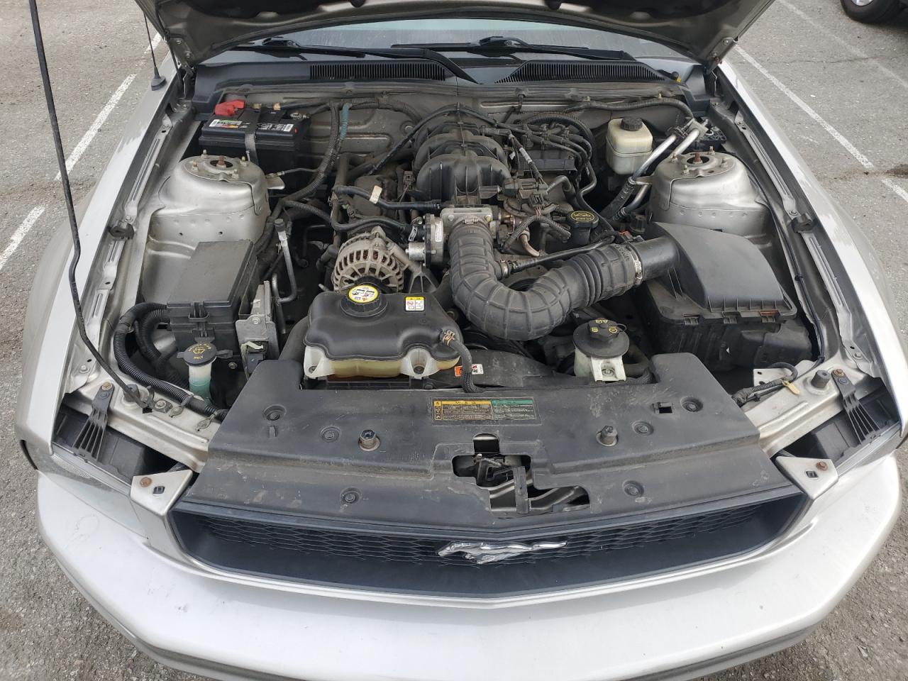 2008 Ford Mustang VIN: 1ZVHT80N485159846 Lot: 54542925