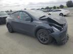 2025 Tesla Model Y  for Sale in Martinez, CA - All Over