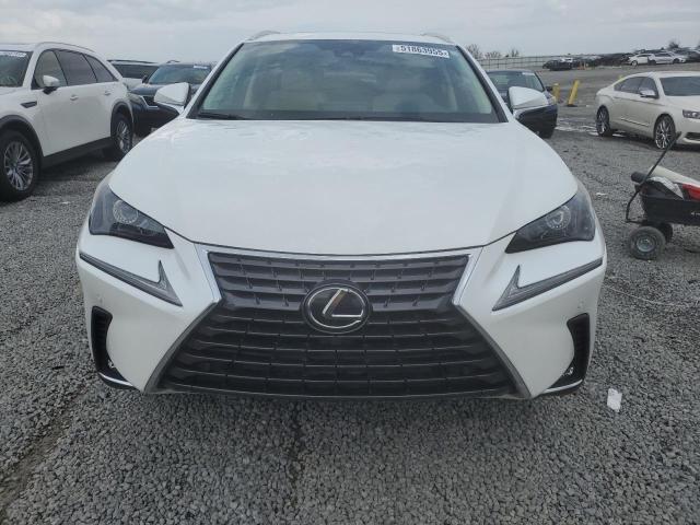  LEXUS NX 2020 Biały