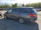 2020 Honda Odyssey Exl for Sale in Marlboro, NY - Front End