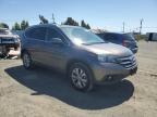 2014 Honda Cr-V Exl იყიდება American Canyon-ში, CA - Rear End