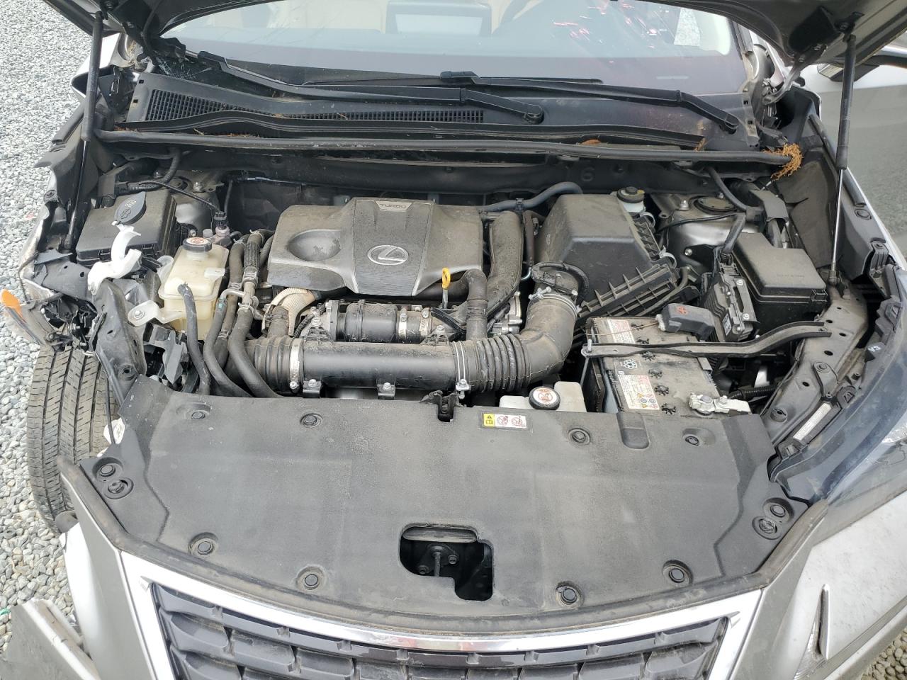 2020 Lexus Nx 300 VIN: JTJDARBZ9L5009833 Lot: 54306675