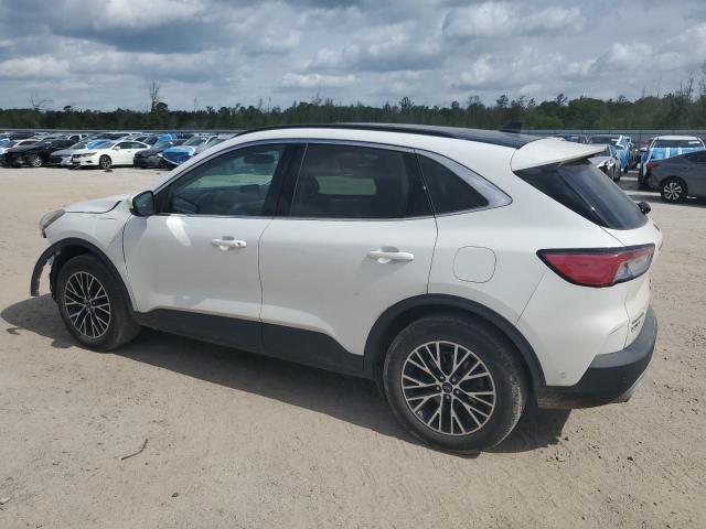  FORD ESCAPE 2022 Белы