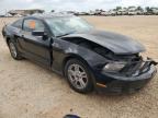 2010 Ford Mustang  продається в San Antonio, TX - Front End
