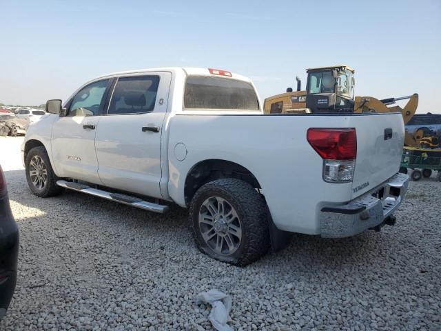 Пікапи TOYOTA TUNDRA 2012 Білий