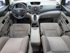 2014 Honda Cr-V Lx de vânzare în Houston, TX - Hail
