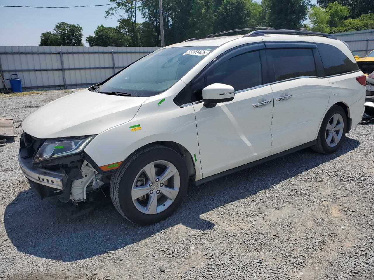 2019 Honda Odyssey Exl للبيع في Gastonia، NC - Front End