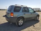 2007 Ford Escape Hev for Sale in American Canyon, CA - Minor Dent/Scratches