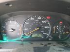 2013 Honda Odyssey Exl na sprzedaż w Littleton, CO - Hail