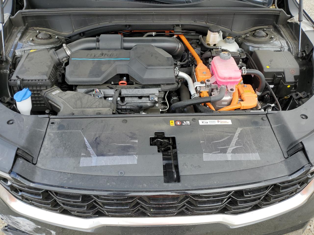 2025 Kia Sorento Ex VIN: KNDRHDJG7S5309361 Lot: 53818555