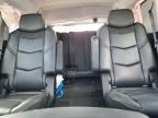 Miami, FL에서 판매 중인 2019 Cadillac Escalade  - Front End