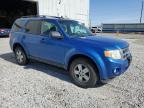 2011 Ford Escape Xlt for Sale in Reno, NV - Rear End