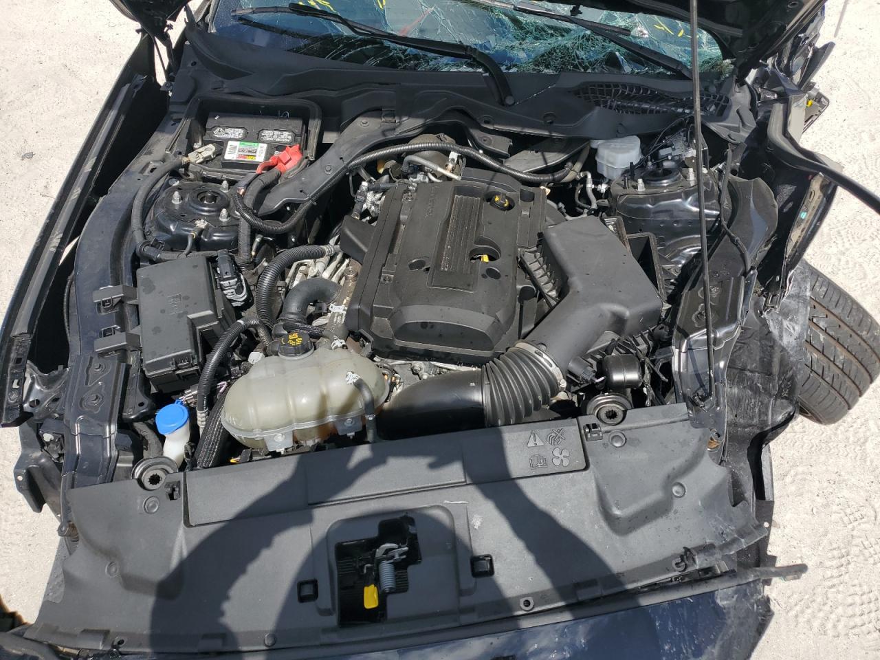 2020 Ford Mustang VIN: 1FA6P8THXL5191882 Lot: 54728565