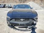2019 Ford Mustang  for Sale in Marlboro, NY - Side
