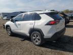 2023 TOYOTA RAV4 XLE for sale at Copart ON - COOKSTOWN