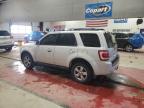 2012 Ford Escape Limited de vânzare în Angola, NY - Front End