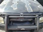 2002 Nissan Frontier Crew Cab Xe en Venta en North Las Vegas, NV - Rear End