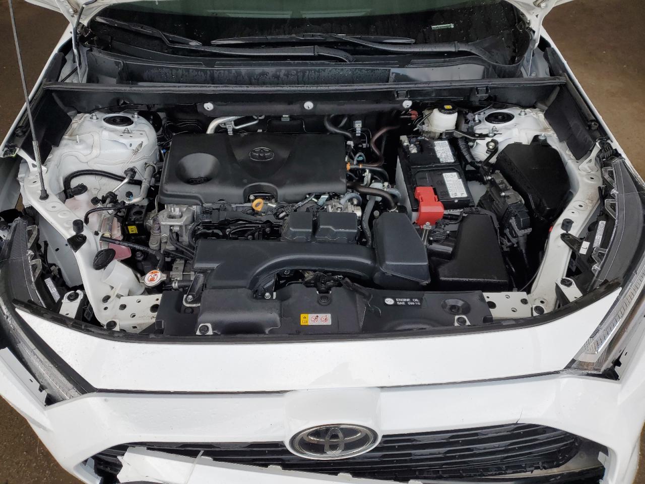 2024 Toyota Rav4 Xle VIN: 2T3W1RFV0RW321558 Lot: 51457815