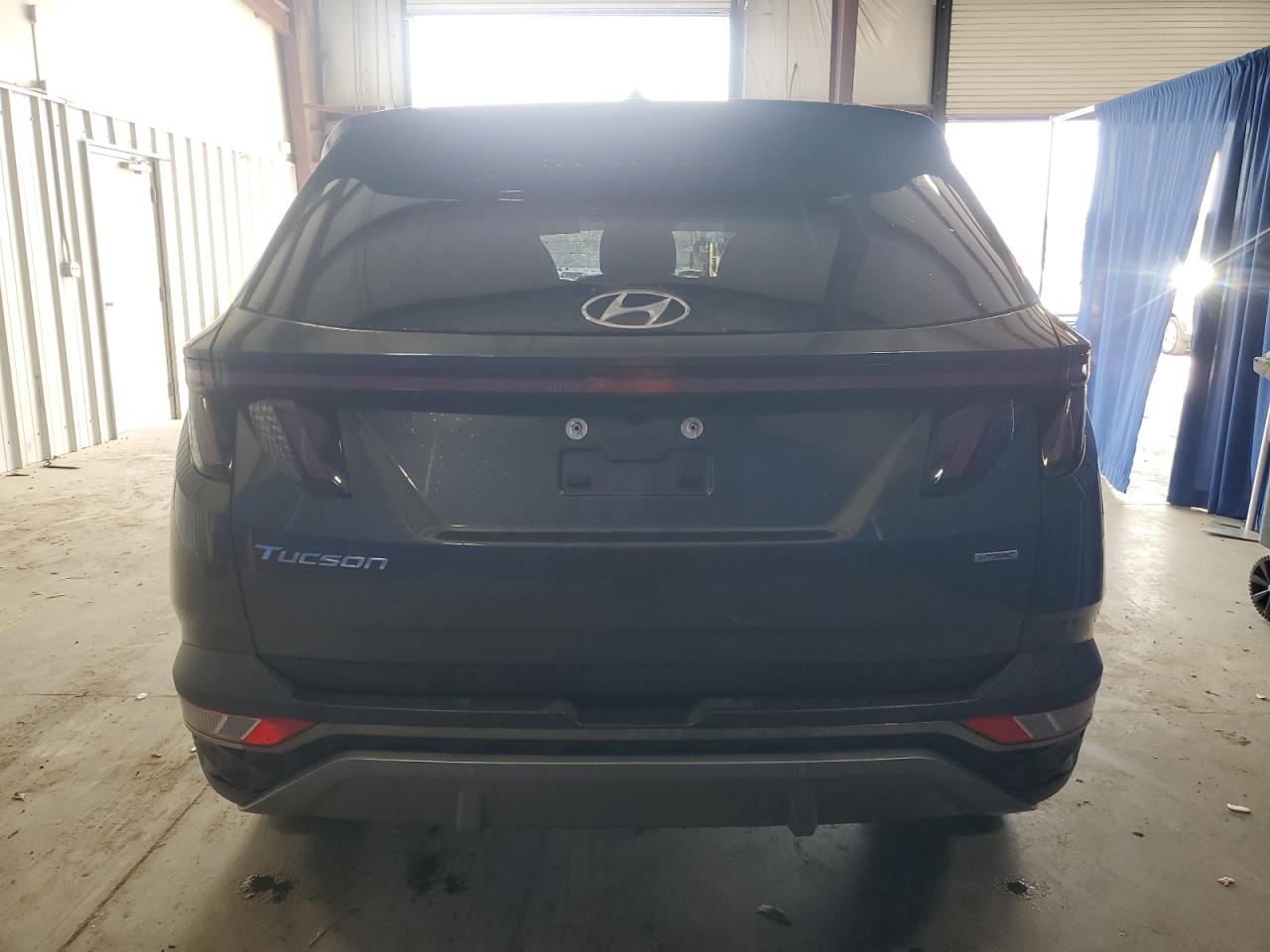 2023 Hyundai Tucson Limited VIN: 5NMJECAE5PH202912 Lot: 53289105