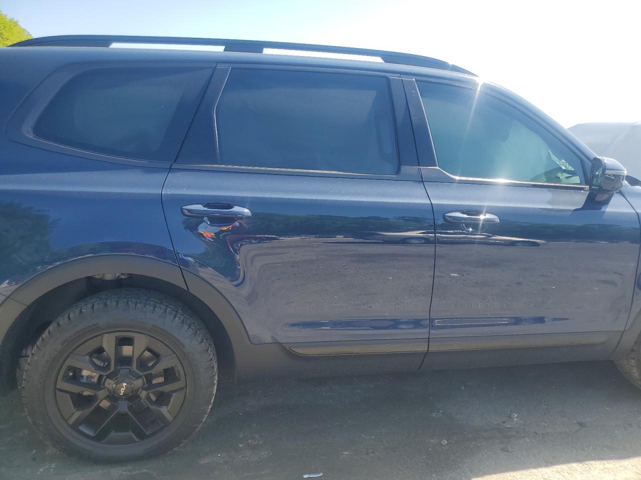 2024 Kia Telluride Sx VIN: 5XYP5DGC1RG439447 Lot: 52987835