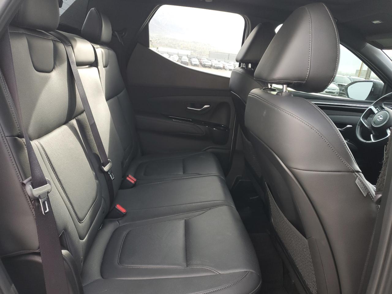 2023 Hyundai Santa Cruz Limited VIN: 5NTJEDAF8PH069811 Lot: 52806245