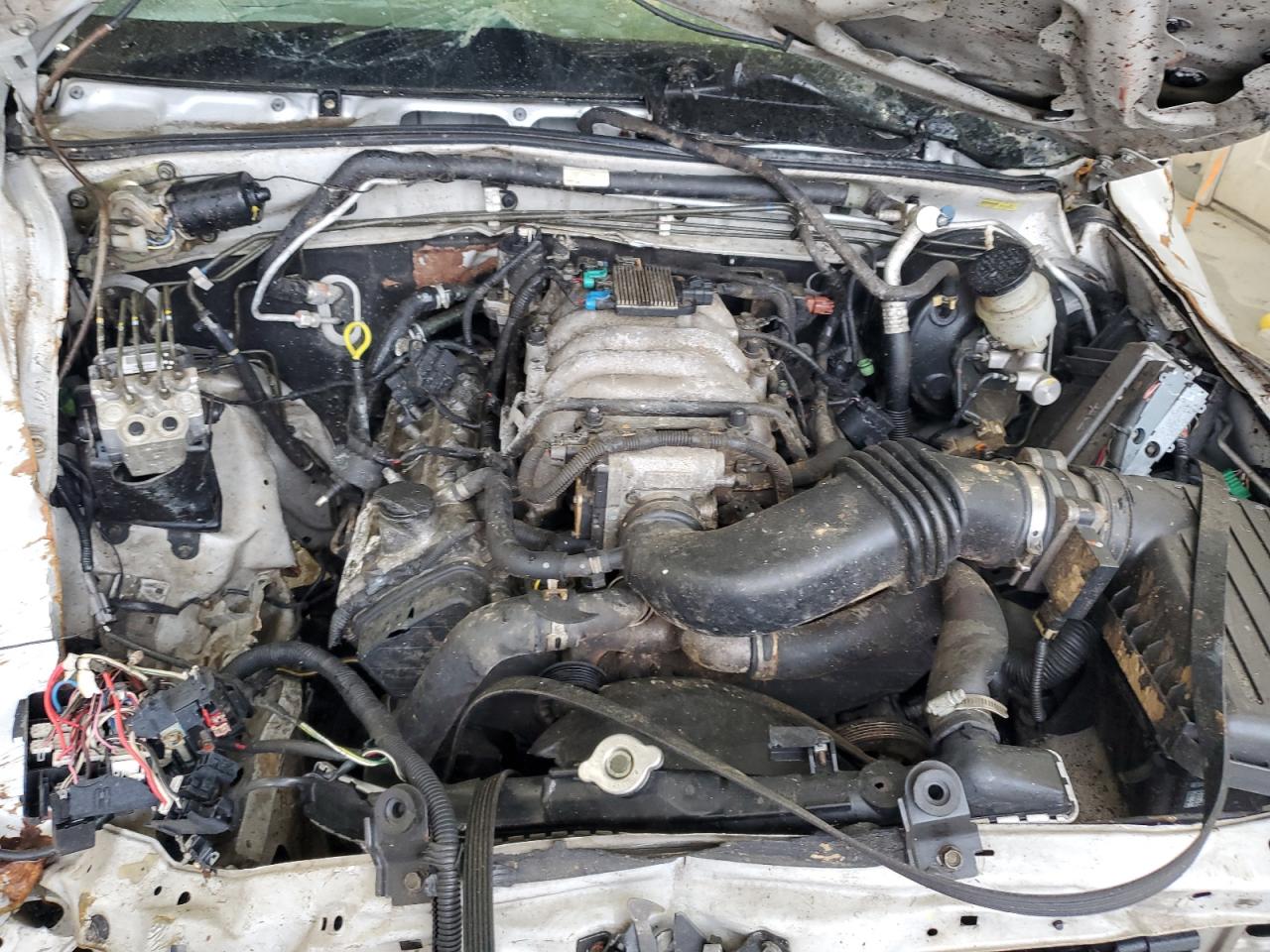 2002 Isuzu Rodeo S VIN: 4S2DM58W924331185 Lot: 54116655