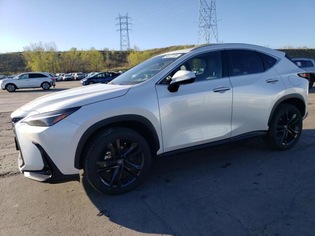 LEXUS NX 450H LU 2024