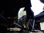 1999 Ford F550 Super Duty Stripped Chassis zu verkaufen in Columbia Station, OH - Burn