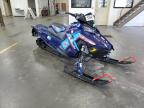 2020 Polaris 800 for Sale in Ham Lake, MN - Front End
