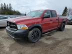 2010 Dodge Ram 1500  продається в Bowmanville, ON - Top/Roof