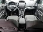2016 Ford Escape Se იყიდება Indianapolis-ში, IN - Rear End