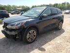 2022 Ford Escape Sel   for Sale in Charles City, VA - Front End