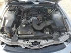 2008 Ford Mustang  for Sale in Newton, AL - Front End