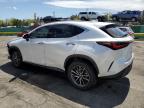 2024 Lexus Nx 350H Base zu verkaufen in Denver, CO - Front End