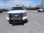 2020 Chevrolet Tahoe Police for Sale in Hillsborough, NJ - Minor Dent/Scratches