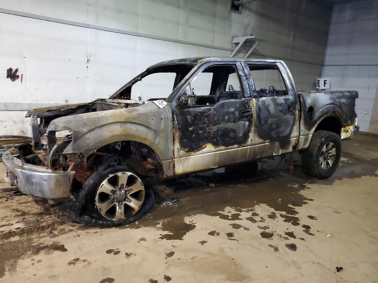2013 Ford F150 Supercrew for Sale in Portland, MI - Burn