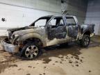 2013 Ford F150 Supercrew for Sale in Portland, MI - Burn