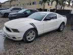 2012 Ford Mustang  للبيع في Opa Locka، FL - Mechanical