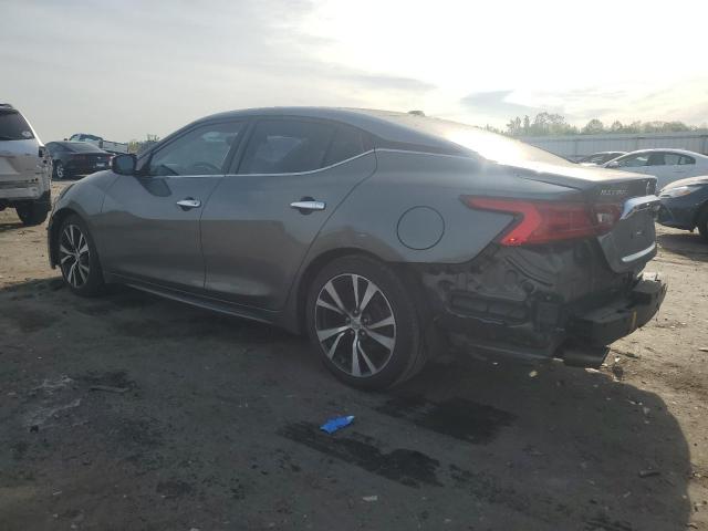 Седаны NISSAN MAXIMA 2016 Серый