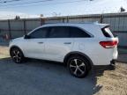 2017 Kia Sorento Ex for Sale in Los Angeles, CA - Rear End