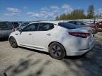 2011 Kia Optima Hybrid for Sale in Arlington, WA - Front End