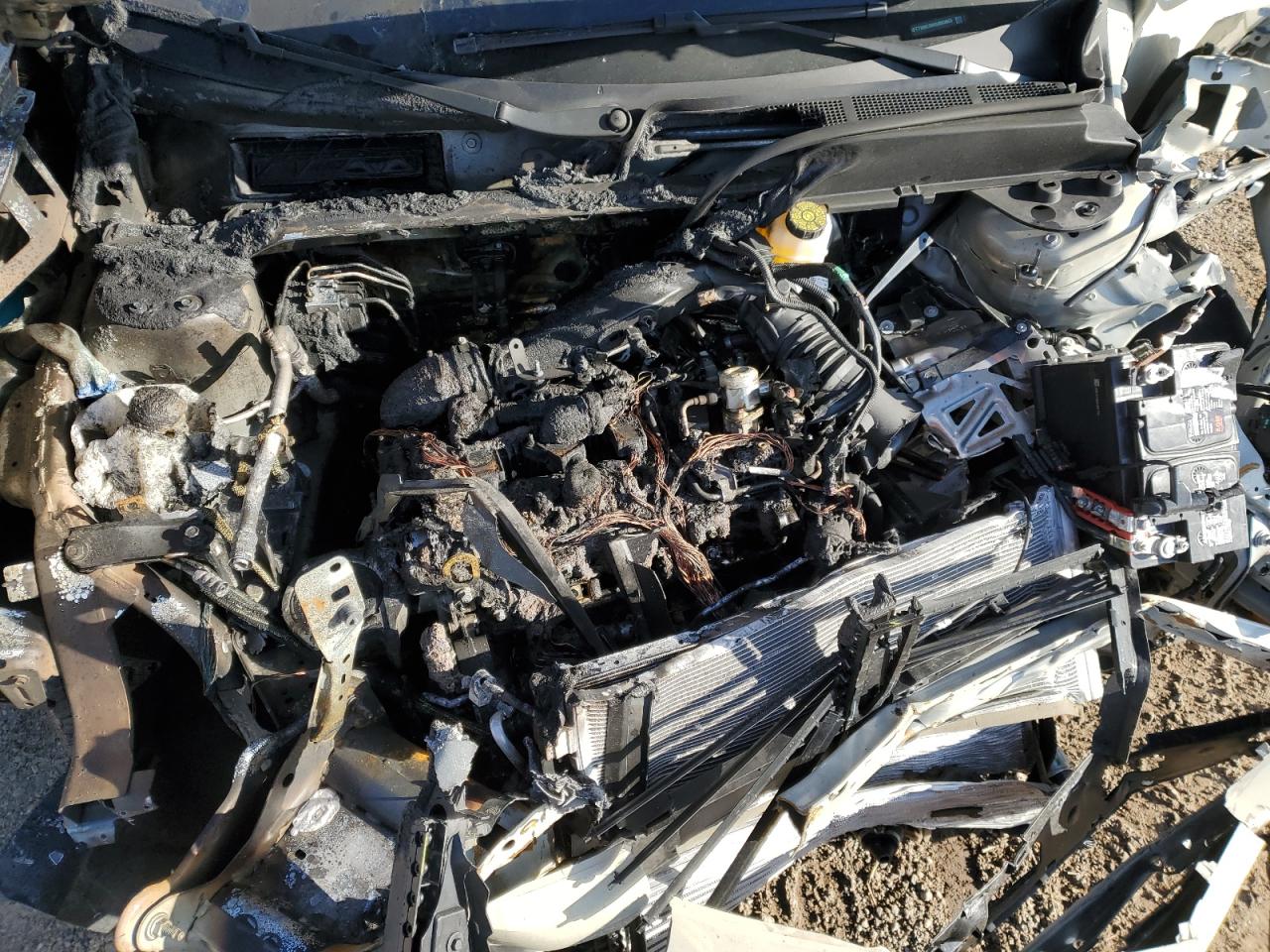 2024 Ford Maverick Xlt Tremor VIN: 3FTTW8C98RRB03863 Lot: 52021285